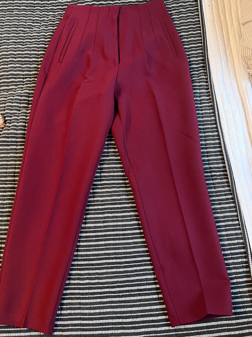 NWT Zara Dress Pants